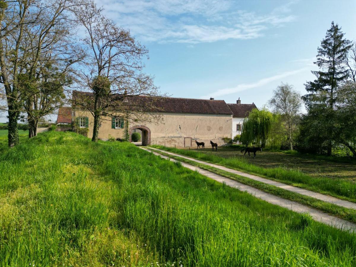 Le Moulin Neuf Villa Brienon-sur-Armancon Ngoại thất bức ảnh
