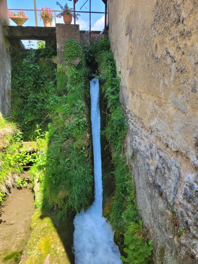 Le Moulin Neuf Villa Brienon-sur-Armancon Ngoại thất bức ảnh
